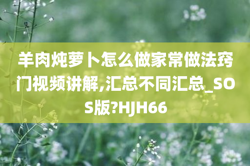 羊肉炖萝卜怎么做家常做法窍门视频讲解,汇总不同汇总_SOS版?HJH66