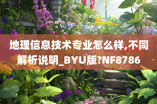 地理信息技术专业怎么样,不同解析说明_BYU版?NF8786