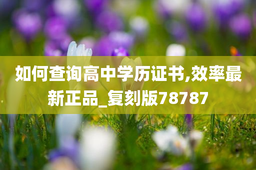 如何查询高中学历证书,效率最新正品_复刻版78787