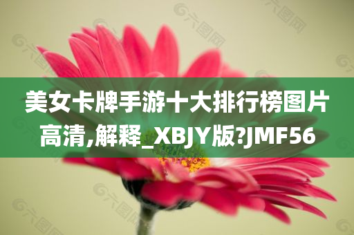 美女卡牌手游十大排行榜图片高清,解释_XBJY版?JMF56