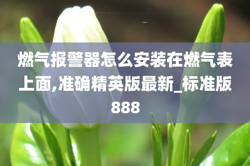 燃气报警器怎么安装在燃气表上面,准确精英版最新_标准版888
