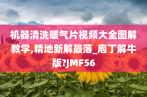 机器清洗暖气片视频大全图解教学,精地新解最落_庖丁解牛版?JMF56今晚必出三肖2025_2025新澳门精准免费提供·精确判断