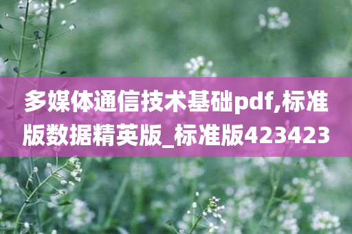 多媒体通信技术基础pdf,标准版数据精英版_标准版423423
