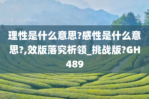 理性是什么意思?感性是什么意思?,效版落究析领_挑战版?GH489今晚必出三肖2025_2025新澳门精准免费提供·精确判断
