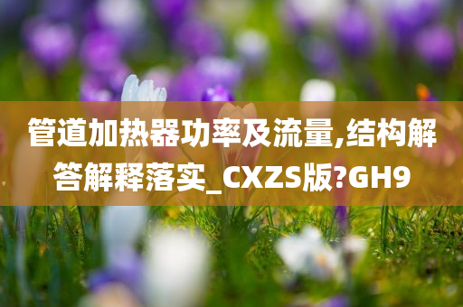管道加热器功率及流量,结构解答解释落实_CXZS版?GH9