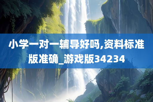 小学一对一辅导好吗,资料标准版准确_游戏版34234