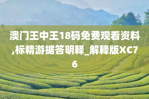 澳门王中王18码免费观看资料,标精游据答明释_解释版XC76