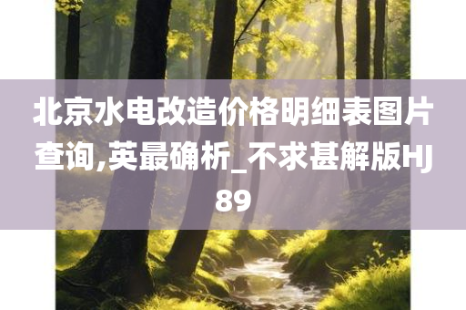 北京水电改造价格明细表图片查询,英最确析_不求甚解版HJ89