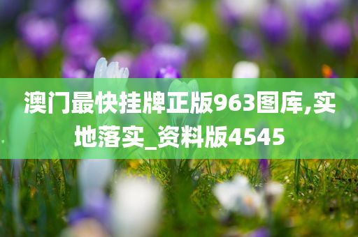 澳门最快挂牌正版963图库,实地落实_资料版4545