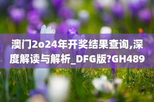澳门2o24年开奖结果查询,深度解读与解析_DFG版?GH489