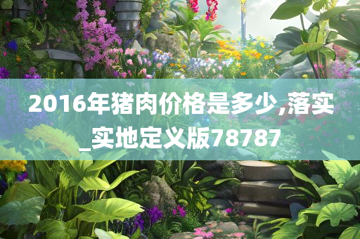 2016年猪肉价格是多少,落实_实地定义版78787