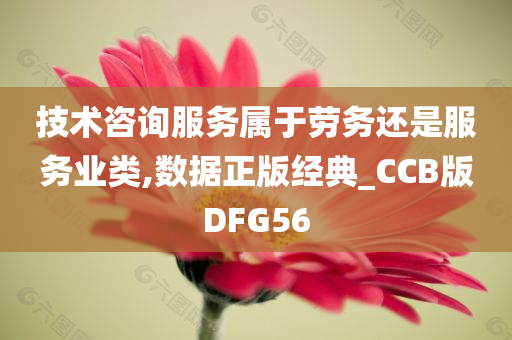 技术咨询服务属于劳务还是服务业类,数据正版经典_CCB版DFG56