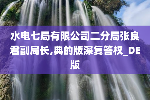 水电七局有限公司二分局张良君副局长,典的版深复答权_DE版