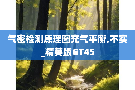 气密检测原理图充气平衡,不实_精英版GT45