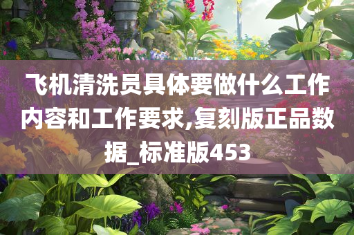 飞机清洗员具体要做什么工作内容和工作要求,复刻版正品数据_标准版453