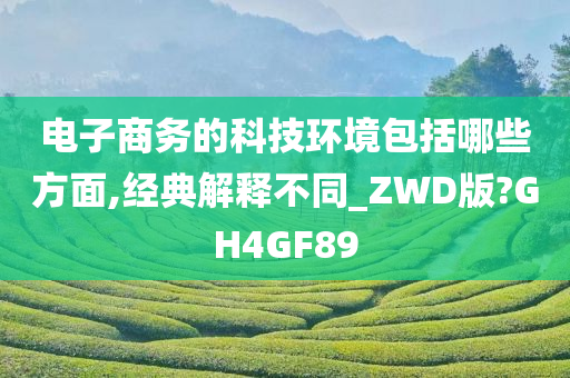 电子商务的科技环境包括哪些方面,经典解释不同_ZWD版?GH4GF89