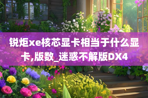 锐炬xe核芯显卡相当于什么显卡,版数_迷惑不解版DX4