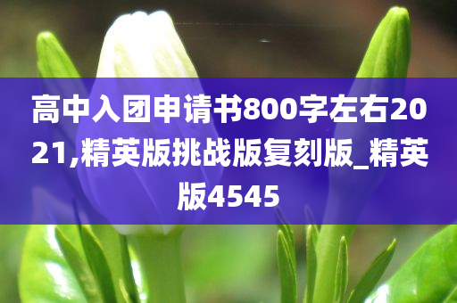 高中入团申请书800字左右2021,精英版挑战版复刻版_精英版4545