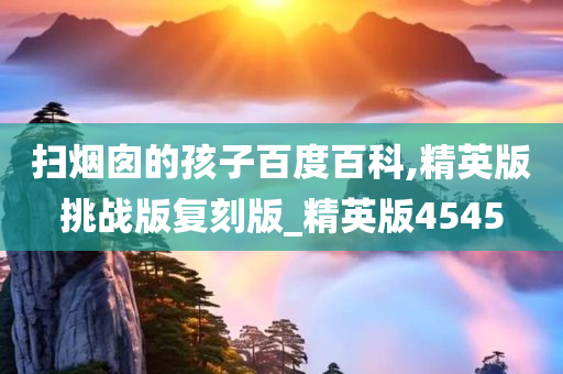 扫烟囱的孩子百度百科,精英版挑战版复刻版_精英版4545
