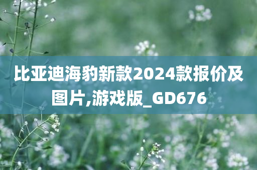 比亚迪海豹新款2024款报价及图片,游戏版_GD676