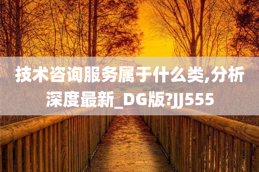 技术咨询服务属于什么类,分析深度最新_DG版?JJ555