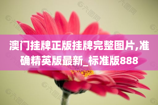 澳门挂牌正版挂牌完整图片,准确精英版最新_标准版888