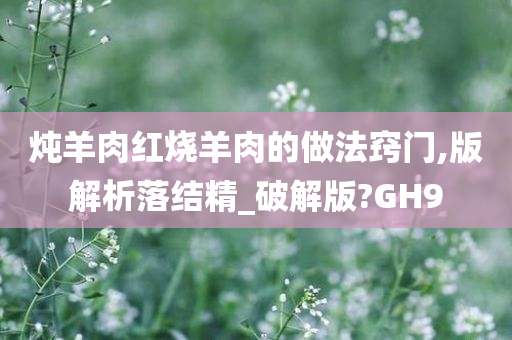炖羊肉红烧羊肉的做法窍门,版解析落结精_破解版?GH9