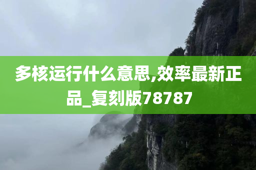 多核运行什么意思,效率最新正品_复刻版78787