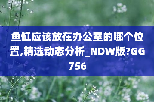 鱼缸应该放在办公室的哪个位置今晚必出三肖2025_2025新澳门精准免费提供·精确判断,精选动态分析_NDW版?GG756