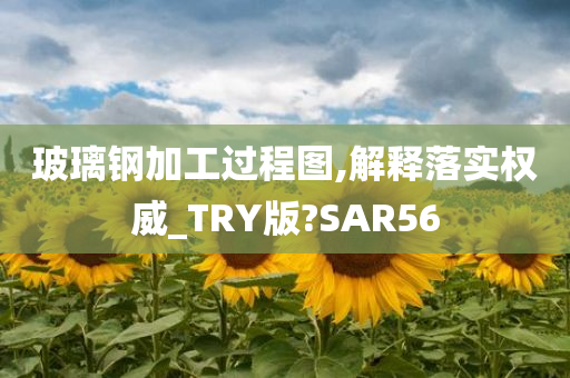 玻璃钢加工过程图,解释落实权威_TRY版?SAR56