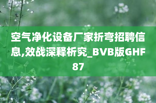 空气净化设备厂家折弯招聘信息,效战深释析究_BVB版GHF87