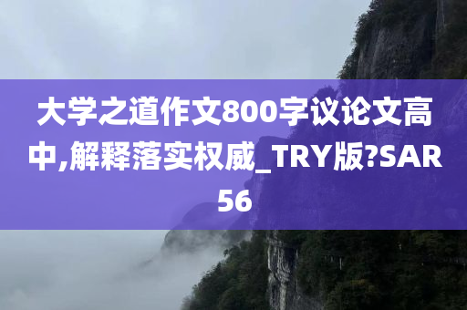 大学之道作文800字议论文高中,解释落实权威_TRY版?SAR56