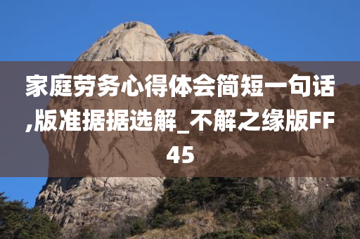 家庭劳务心得体会简短一句话,版准据据选解_不解之缘版FF45