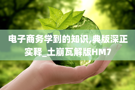 电子商务学到的知识,典版深正实释_土崩瓦解版HM7