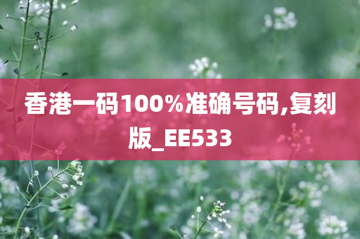 香港一码100%准确号码,复刻版_EE533