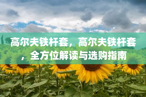 高尔夫铁杆套，高尔夫铁杆套，全方位解读与选购指南