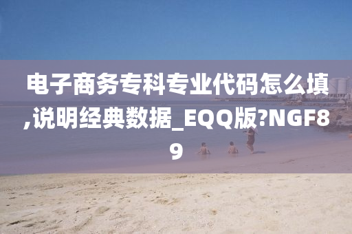 电子商务专科专业代码怎么填,说明经典数据_EQQ版?NGF89