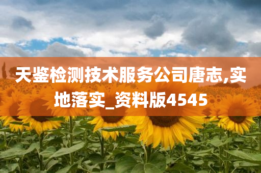 技术服务 第9页