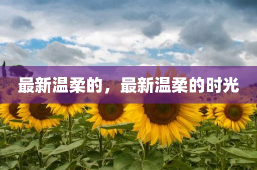 最新温柔的，最新温柔的时光