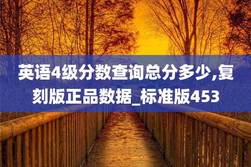 英语4级分数查询总分多少,复刻版正品数据_标准版453