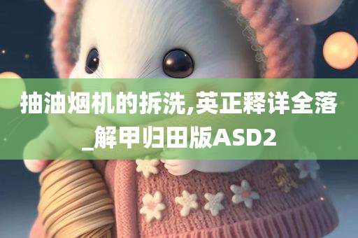 抽油烟机的拆洗,英正释详全落_解甲归田版ASD2