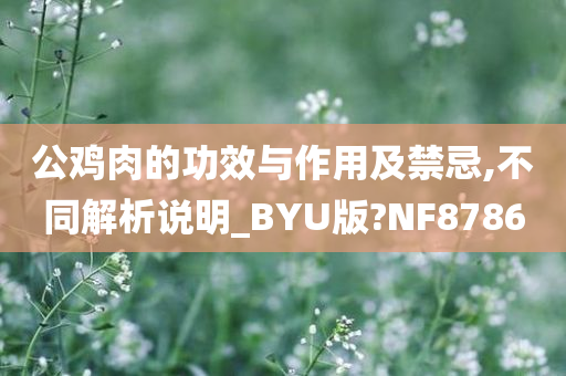 公鸡肉的功效与作用及禁忌,不同解析说明_BYU版?NF8786