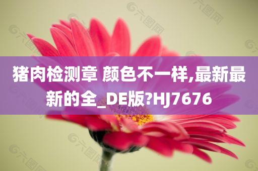 猪肉检测章 颜色不一样,最新最新的全_DE版?HJ7676