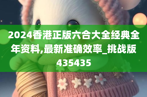 2024香港正版六合大全经典全年资料,最新准确效率_挑战版435435