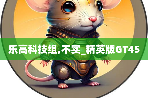 乐高科技组,不实_精英版GT45
