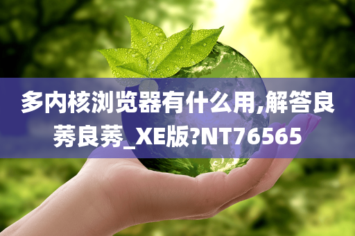 多内核浏览器有什么用,解答良莠良莠_XE版?NT76565