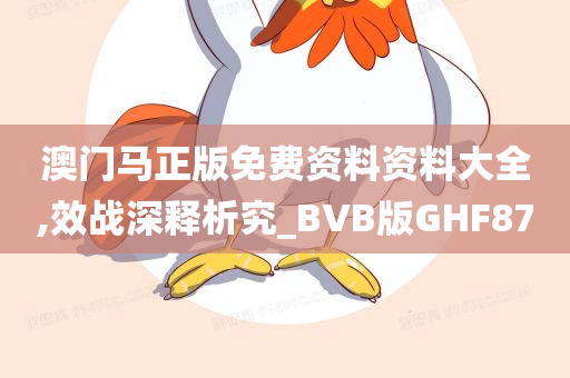 澳门马正版免费资料资料大全,效战深释析究_BVB版GHF87