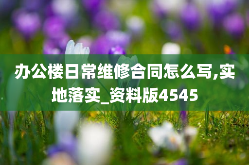办公楼日常维修合同怎么写,实地落实_资料版4545