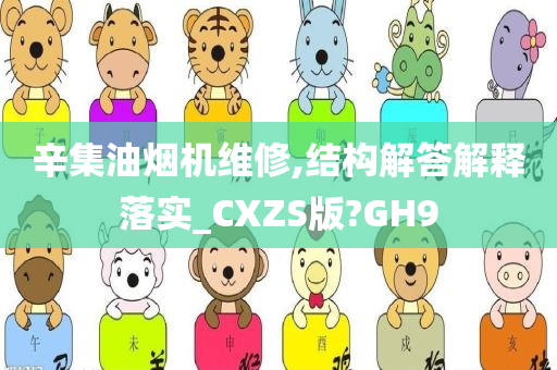 辛集油烟机维修,结构解答解释落实_CXZS版?GH9