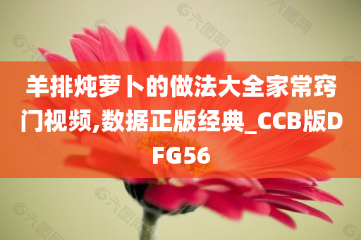 羊排炖萝卜的做法大全家常窍门视频,数据正版经典_CCB版DFG56